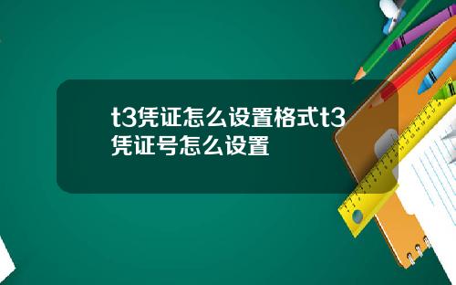 t3凭证怎么设置格式t3凭证号怎么设置