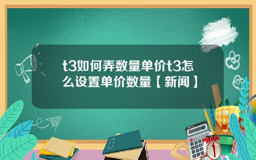t3如何弄数量单价t3怎么设置单价数量【新闻】
