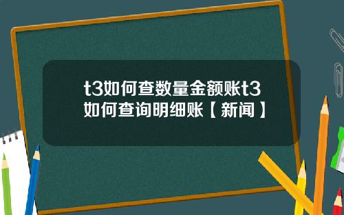 t3如何查数量金额账t3如何查询明细账【新闻】