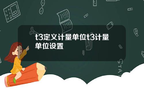 t3定义计量单位t3计量单位设置