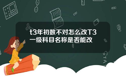 t3年初数不对怎么改T3一级科目名称是否能改
