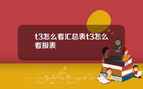 t3怎么看汇总表t3怎么看报表