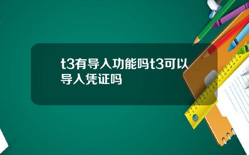 t3有导入功能吗t3可以导入凭证吗