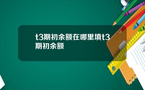 t3期初余额在哪里填t3期初余额