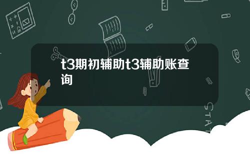t3期初辅助t3辅助账查询