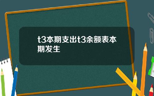 t3本期支出t3余额表本期发生