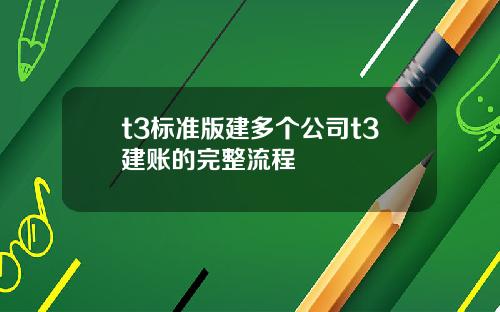 t3标准版建多个公司t3建账的完整流程
