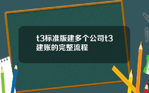 t3标准版建多个公司t3建账的完整流程