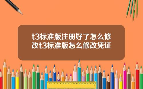 t3标准版注册好了怎么修改t3标准版怎么修改凭证