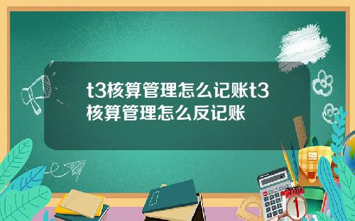 t3核算管理怎么记账t3核算管理怎么反记账