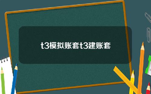 t3模拟账套t3建账套