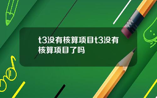 t3没有核算项目t3没有核算项目了吗