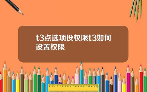 t3点选项没权限t3如何设置权限