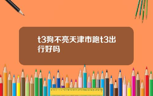 t3狗不亮天津市跑t3出行好吗