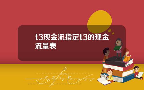 t3现金流指定t3的现金流量表