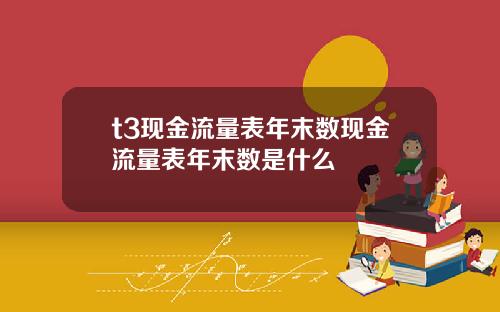 t3现金流量表年末数现金流量表年末数是什么