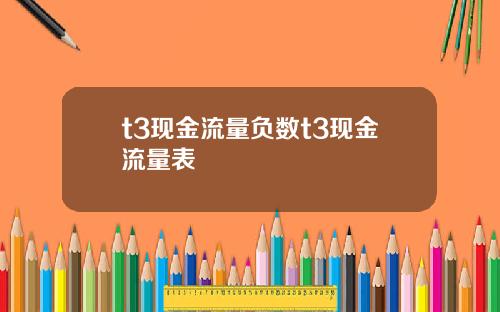 t3现金流量负数t3现金流量表
