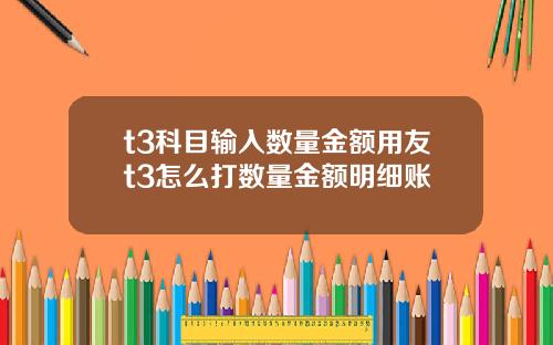 t3科目输入数量金额用友t3怎么打数量金额明细账