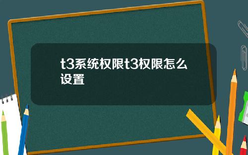 t3系统权限t3权限怎么设置