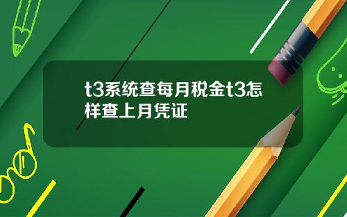 t3系统查每月税金t3怎样查上月凭证