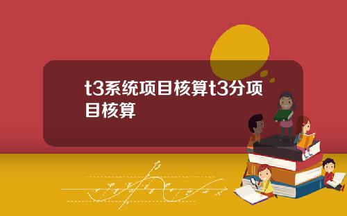 t3系统项目核算t3分项目核算