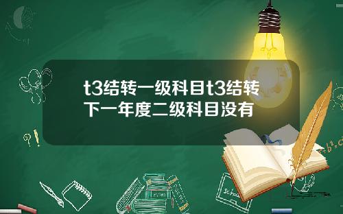 t3结转一级科目t3结转下一年度二级科目没有