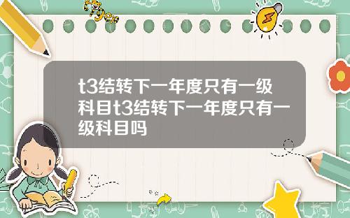 t3结转下一年度只有一级科目t3结转下一年度只有一级科目吗