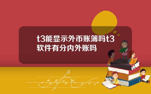 t3能显示外币账簿吗t3软件有分内外账吗
