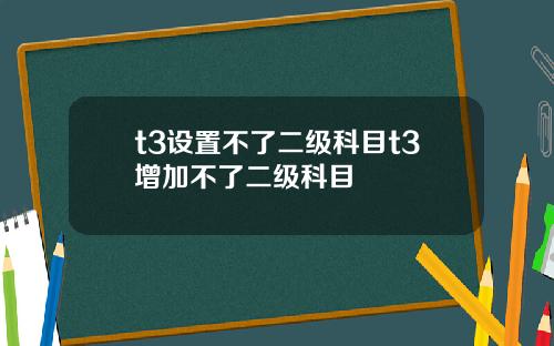 t3设置不了二级科目t3增加不了二级科目