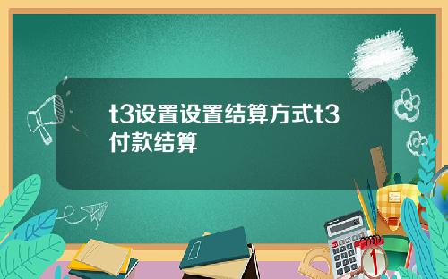 t3设置设置结算方式t3付款结算