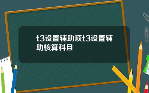 t3设置辅助项t3设置辅助核算科目