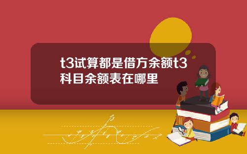 t3试算都是借方余额t3科目余额表在哪里