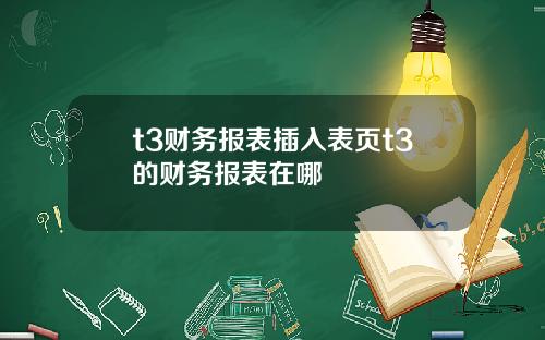 t3财务报表插入表页t3的财务报表在哪
