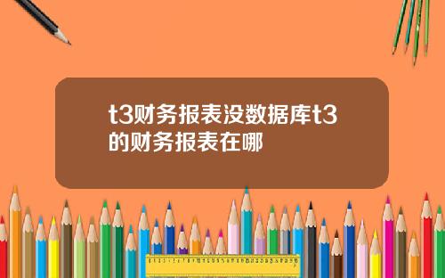 t3财务报表没数据库t3的财务报表在哪