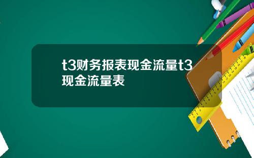 t3财务报表现金流量t3现金流量表