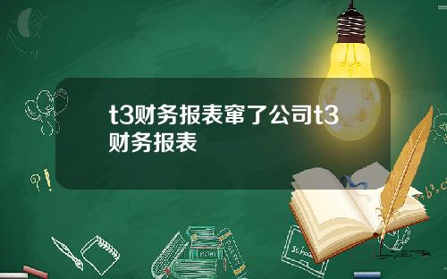 t3财务报表窜了公司t3财务报表