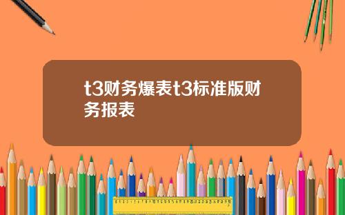 t3财务爆表t3标准版财务报表
