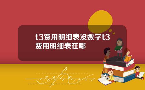 t3费用明细表没数字t3费用明细表在哪