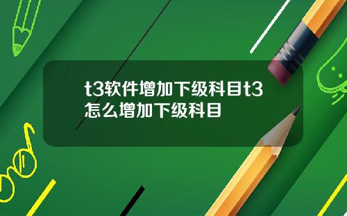 t3软件增加下级科目t3怎么增加下级科目