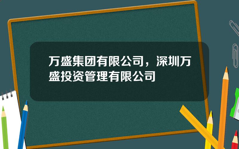 万盛集团有限公司，深圳万盛投资管理有限公司