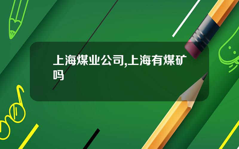 上海煤业公司,上海有煤矿吗