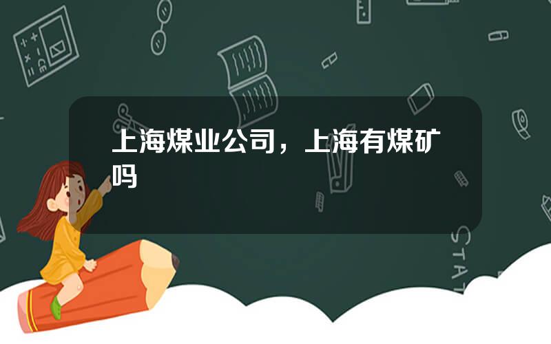 上海煤业公司，上海有煤矿吗
