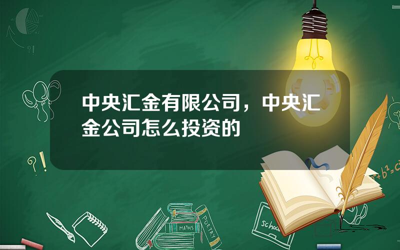 中央汇金有限公司，中央汇金公司怎么投资的