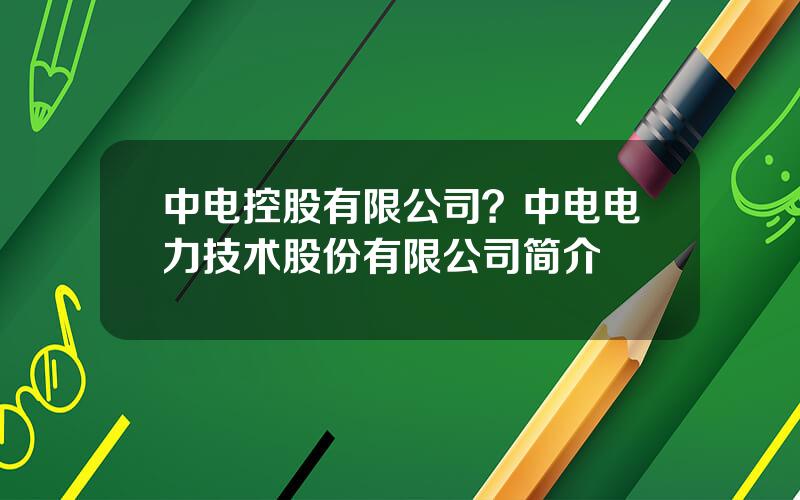 中电控股有限公司？中电电力技术股份有限公司简介