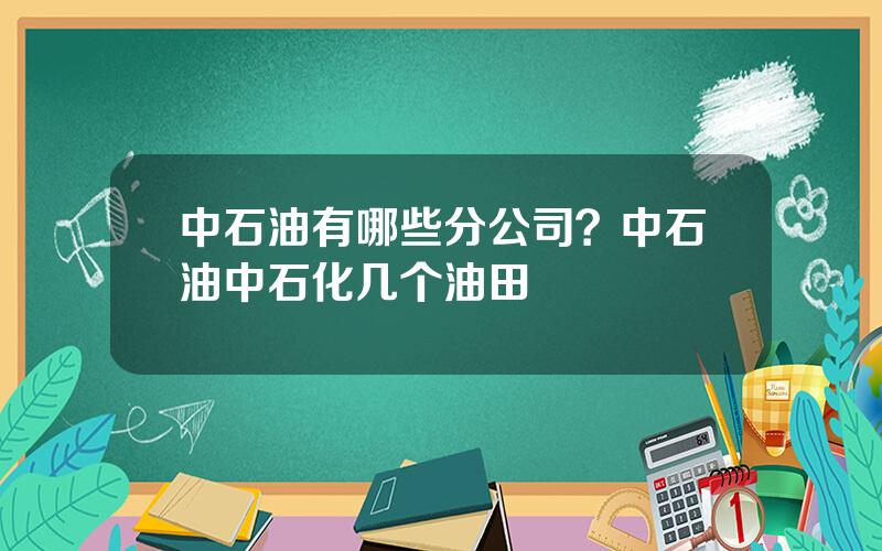 中石油有哪些分公司？中石油中石化几个油田