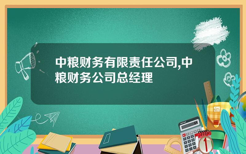中粮财务有限责任公司,中粮财务公司总经理