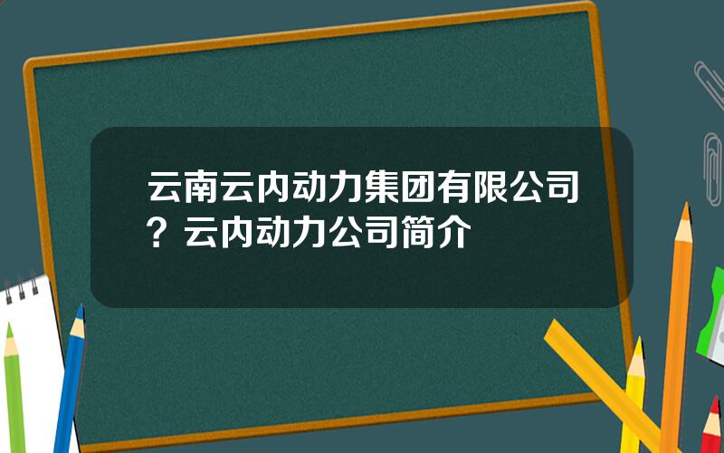 云南云内动力集团有限公司？云内动力公司简介