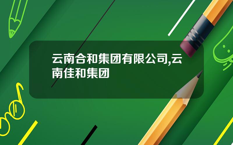 云南合和集团有限公司,云南佳和集团