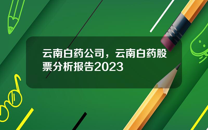 云南白药公司，云南白药股票分析报告2023