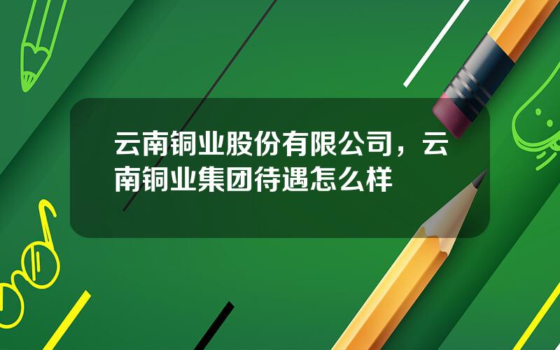 云南铜业股份有限公司，云南铜业集团待遇怎么样